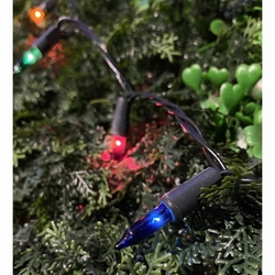GUIA NAVIDAD 100 LUCES MULTICOLOR CON DOBLE CONEXIÓN